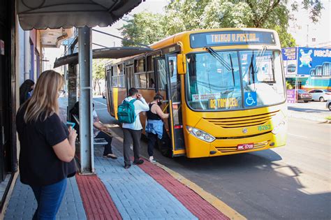 Qual é O Coletivo De Automoveis