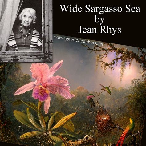 Wide Sargasso Sea By Jean Rhys Gabrielle Dubois Books Historical Romance