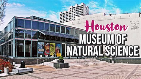 Houston Museum Of Natural Science Youtube