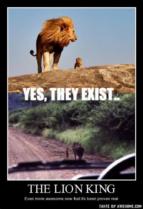 The Lion King Taste Of Awesome Boring Photos Epic Captions
