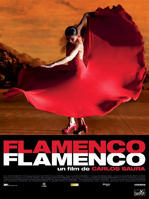 Flamenco Flamenco Film 2010 Allociné