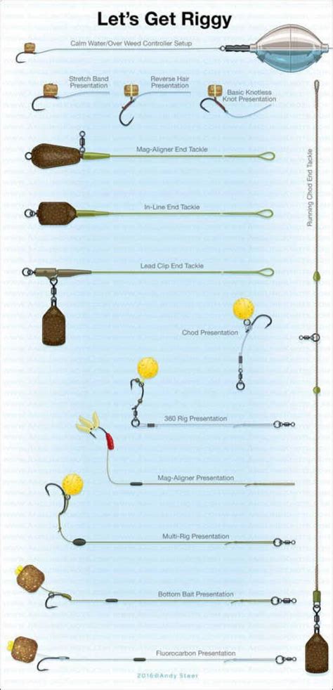 Carp Rig Diagram For Beginners