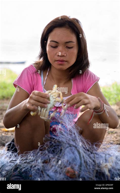 Thai Woman Removing Crabs Caught In Nets On Phala Beach Near Rayong