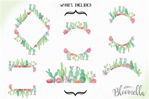 Cactus Borders And Frames