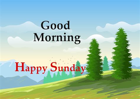 Top 10 Good Morning Happy Sunday Images Greeting Pictures Photos For Whatsapp Good Morning