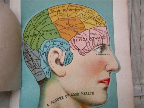Imaginganatomy.com is an interactive atlas of normal imaging anatomy for the radiologist as well as a the atlas mimics a radiological workstation (pacs) and includes anatomy as it presents itself on. 5 part overlay color lithograph Medical CHARTS from antique 1916 medical book - head, brain ...