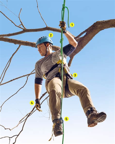The Gear You Need To Climb The Trees Tree Climbing Equipment