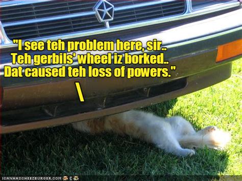 Expert Kittie Mechanic Quickly Discovers The Problem Funny Cats