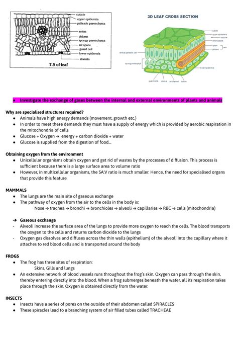 Biology Module 2 Complete Topic Notes Biology Year 11 Hsc Thinkswap