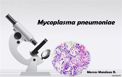 Laboratory Diagnosis Treatment And Prevention Of Mycoplasma Pneumoniae