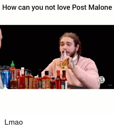25 Best Memes About Malone Malone Memes