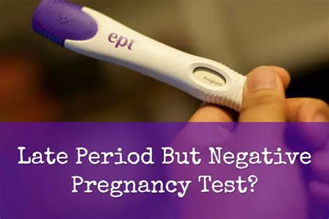20 Reasons For Late Period But Negative Pregnancy Test