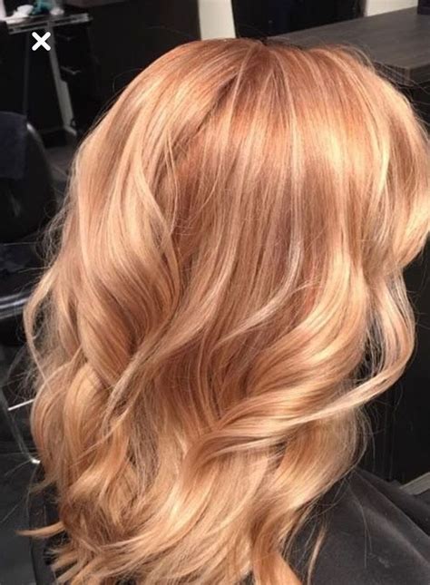 Pin Di Eva Janssen Su Ridiculously Awesome Blonde Hairstyles Capelli