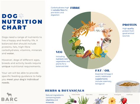 A Dogs Nutrition Chart Feeding And Diet Guide Barc London