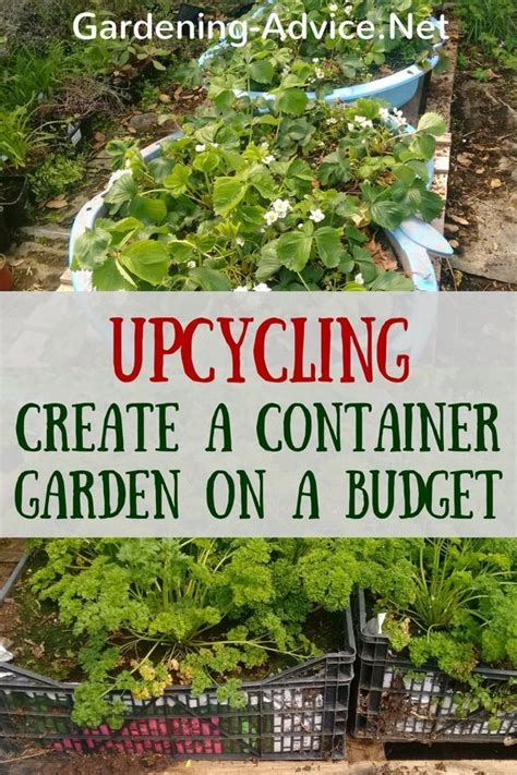 Create A Vegetable Container Garden In Your Backyard By Reusing And