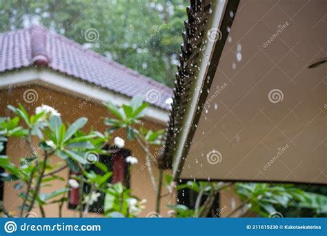 Raindrops Flow Down From The Roof Of A House During A Tropical Downpour
