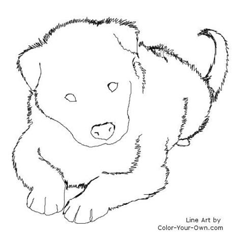 Border Collie Puppy Line Art Puppy Coloring Pages Puppy Coloring