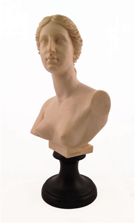 Striking Classical Bust 95 Craft Show Displays Bust Statue