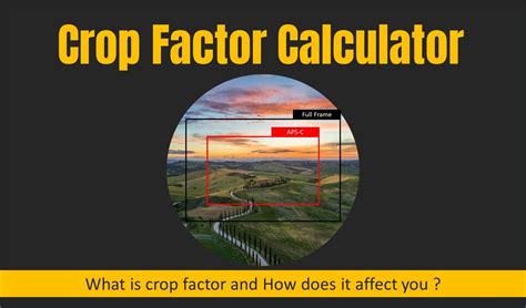 Crop Factor Calculator Photography Basics