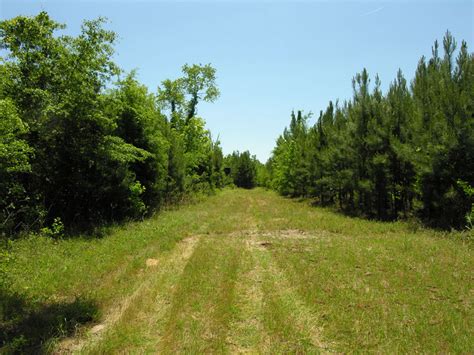 6435 Acres Wooded Southwest Burke County Georgia Shivers Real Estate