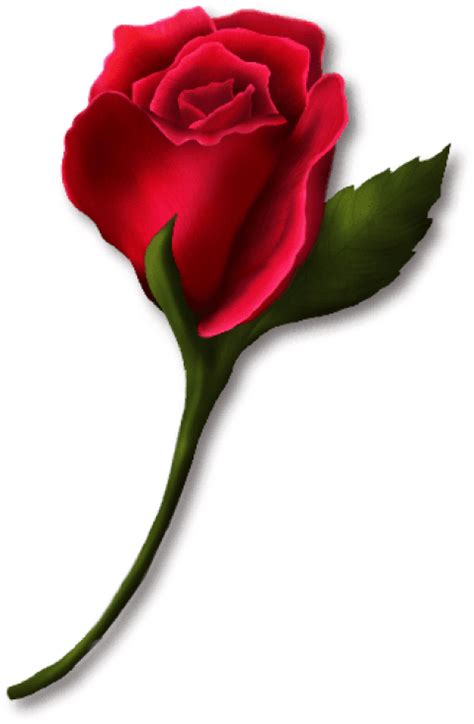 Download Red Rose Bud Painted Png Images Background Single Red Rose