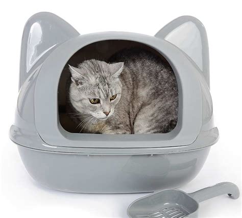 11 Best Cat Litter Boxes In 2023 Unbiased Review All About Cats