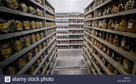 The original seeds store seed bank was started in the year 1992 in newport, south wales. Ja! 42+ Vanlige fakta om Advantage Of Storing Seeds In ...