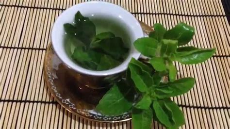 How To Make Holy Basil Tea