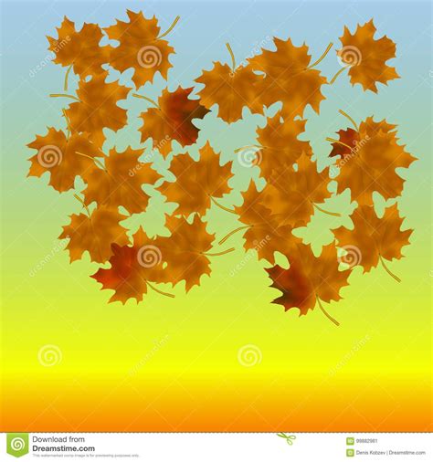 Maple Leaves At The End Of Autumn In The Background Of Heaven Stock