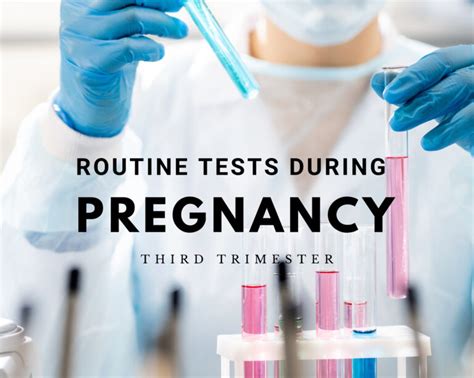 Routine Tests During Pregnancyfirst Trimester Sally Salerno