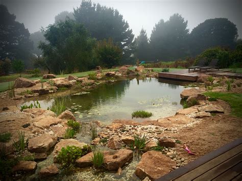Large Pond Landscaping Best Decorations