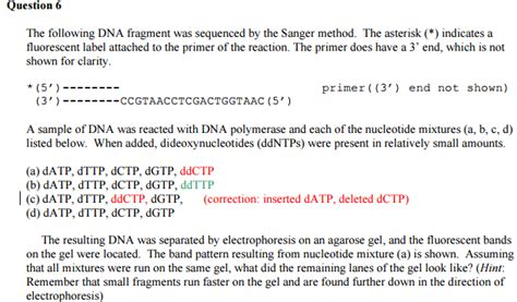 solved question 6 the following dna fragment was sequenced