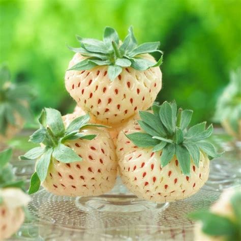 In fact, it is often considered to be one of the healthiest fruits in the world. 7 Most Unusual Fruits to Watch out for ... Food