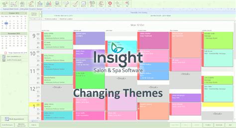 Software Themes | Insight Salon & Spa Software Blog
