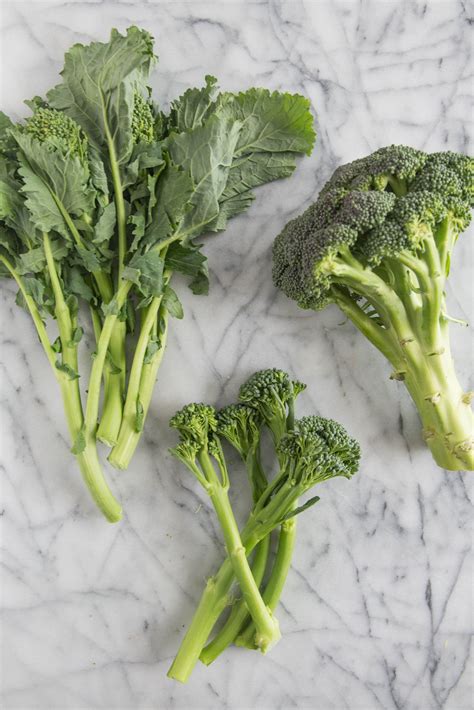Whats The Difference Between Broccoli Broccolini Broccoli Rabe And