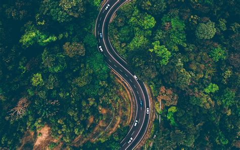 Wallpaper Road Car Trees Forest Plants Nature