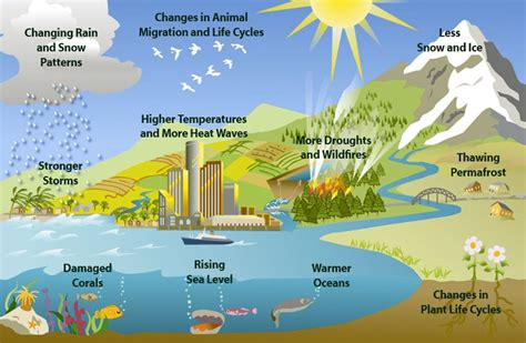 Climate Change Environmental Degradation Water Scarcity