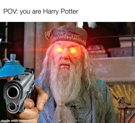 Dumbledore Asked Calmly Rmemes