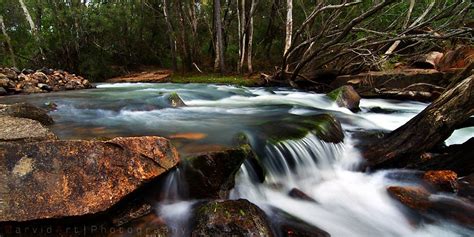 Stoney Creek Byfield National Park Queensland Australia National