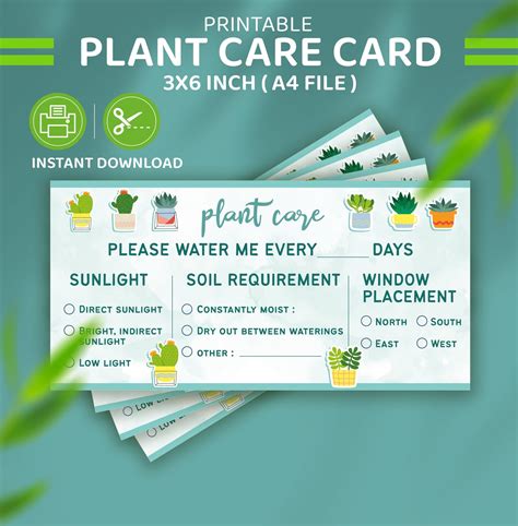 Plant Care Card Printable Plant Care Sheet Digital Etsy