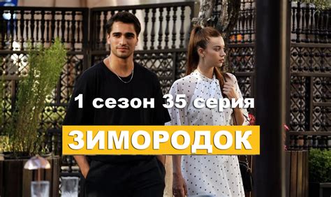 Зимородок смотреть 1 сезон 35 серия на русском языке онлайн в хорошем качестве Poiskpmr Ru