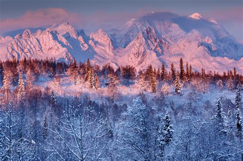 Alaska Nature And Landscapes Photography Jeff Schultz