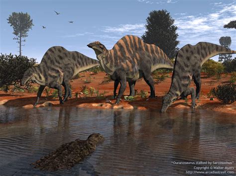 Imagen Ouranosaurus Stalked By Sarcosuchus 800 Wiki