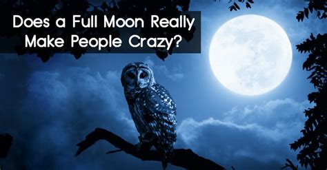 Can a full moon affect your mood? Does a Full Moon Really Make People Crazy?