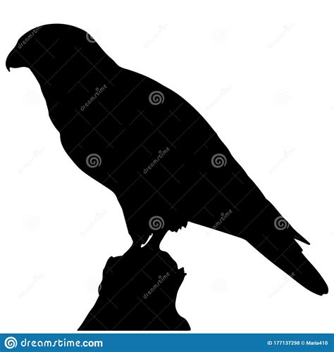 Falcon Silhouette Isolated On White Background Stock Vector
