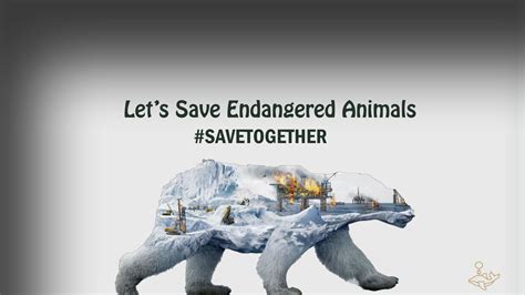 Top 120 How To Save Endangered Animals Poster