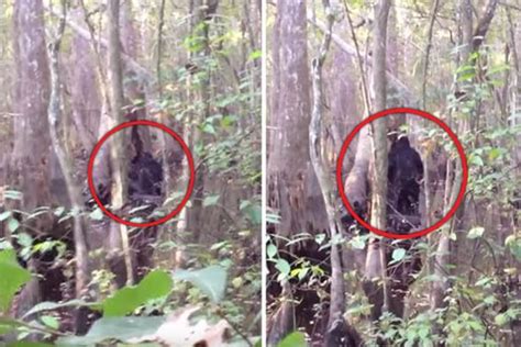 Bizarre Footage Of Black Figure In Forest Dubbed ‘best