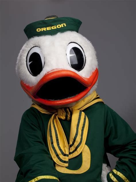 The Oregon Duck Best Mascot Ever College Sports College Football