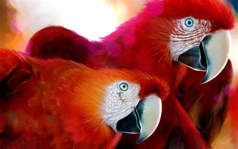 Parrots Widescreen Wallpapers Hd Wallpapers Id 9226