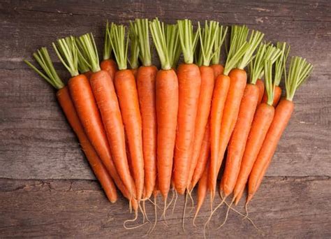 Filled with essential nutrients and vitamins, the vegetable is not only healthy but also tasty and visually appealing. What Are the Real Benefits from Eating Carrots?